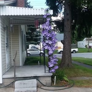 Meet your Posher, Gene